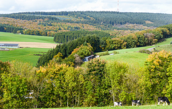 Vakantiehuis Ferienhaus 3 Wolfschlucht