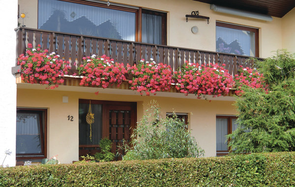 Ferienwohnung - Schönecken , Deutschland - DEI234 81