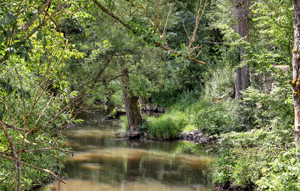 Apartamento - Irrhausen , Alemania - DEI307 904