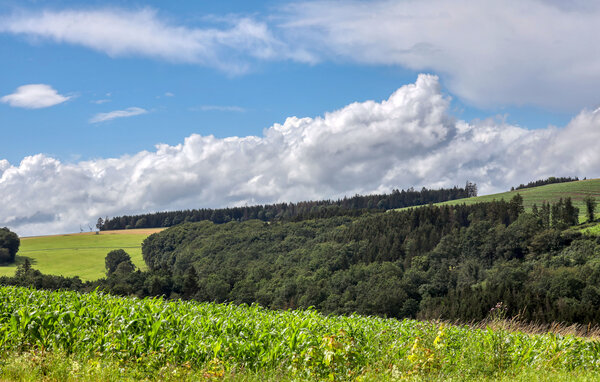 Apartamento - Irrhausen Eifel , Alemania - DEI308 905