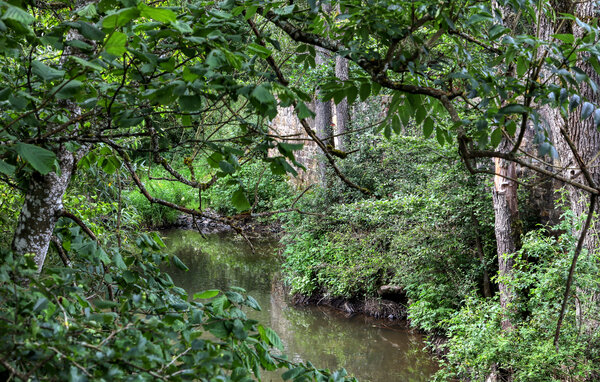 Apartamento - Irrhausen Eifel , Alemania - DEI309 902