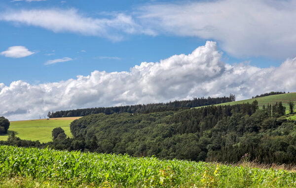 Apartamento - Irrhausen Eifel , Alemania - DEI310 902