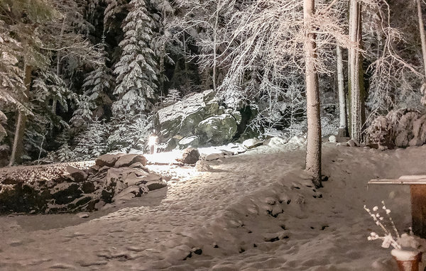 Semesterlägenhet - Crinitzberg/Bärenwalde , Tyskland - DER126 103