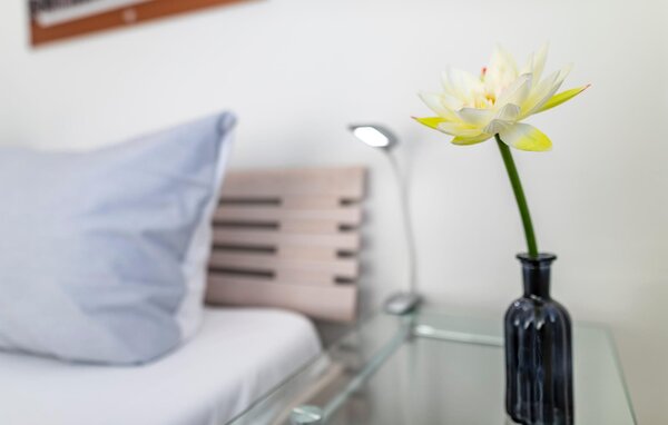 Ferienwohnung - Hafenkante, OstseeResort Olpenitz , Deutschland - DFH011 602