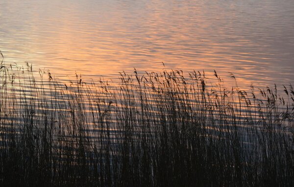 Casa vacanze - Achtern Schilf, OstseeResort Olpenitz , Germania - DFH043 901