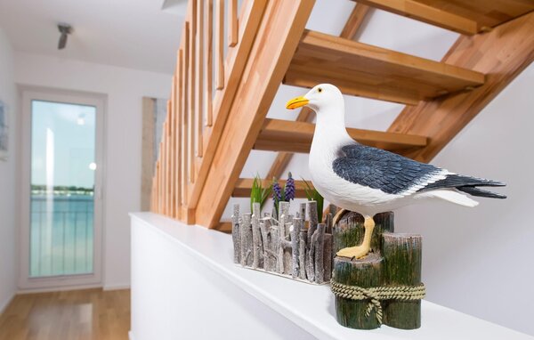 Holiday Home - Meeresbrise, OstseeResort Olpenitz , Germany - DFH059 501