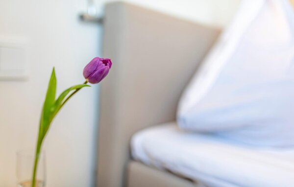 Ferienwohnung - Treibgut, OstseeResort Olpenitz , Deutschland - DFH121 501