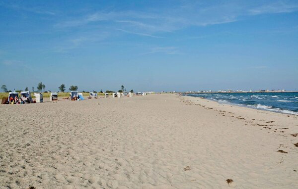 Appartamento - Wilbur, OstseeResort Olpenitz , Germania - DFH148 903