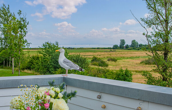 Ferienwohnung - Ostseelounge ORO, OstseeResort Olpenitz , Deutschland - DFH298 106