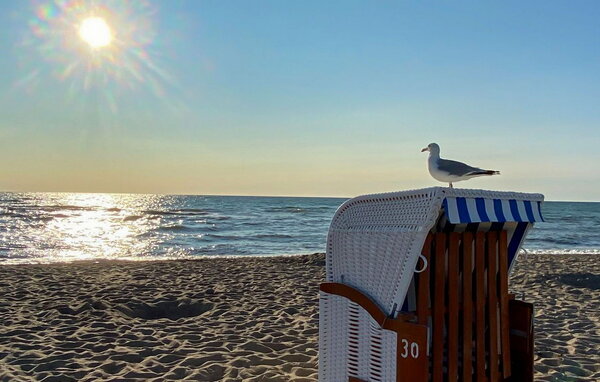 Apartment - Lou's Bude, OstseeResort Olpenitz , Germany - DFH351 902