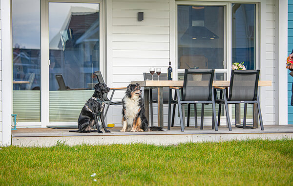 Ferienwohnung - STERNmomente, OstseeResort Olpenitz , Deutschland - DFH419 102