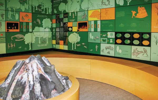 Ferienhaus - Frankenau , Deutschland - DHE321 906