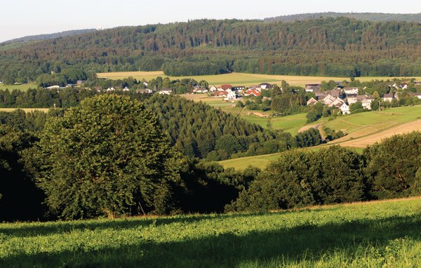 Holiday home Ferienhaus 4 in Thalfang