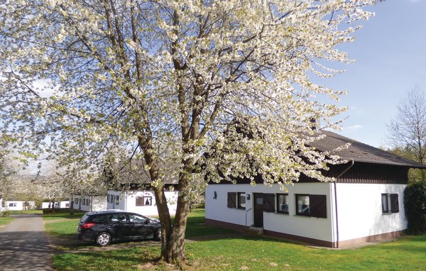 Feriebolig Ferienhaus 5 in Thalfang