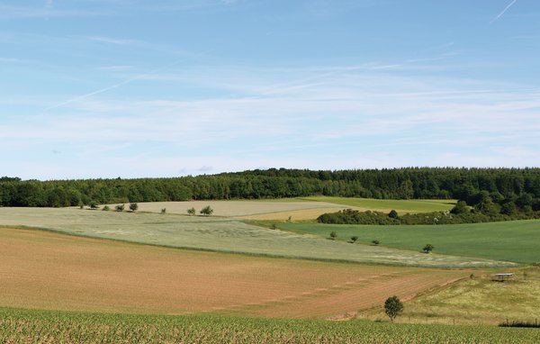 Ferienhaus Ferienhaus 9 in Thalfang