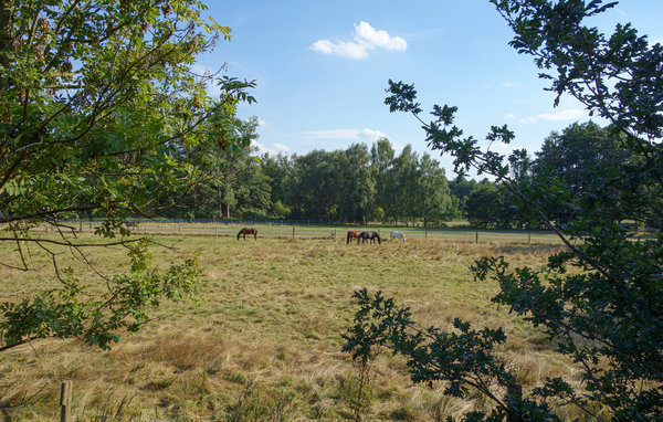 Feriebolig 