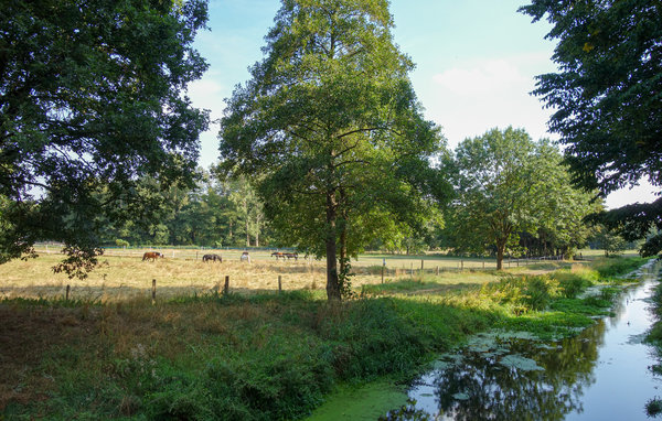 Feriebolig 