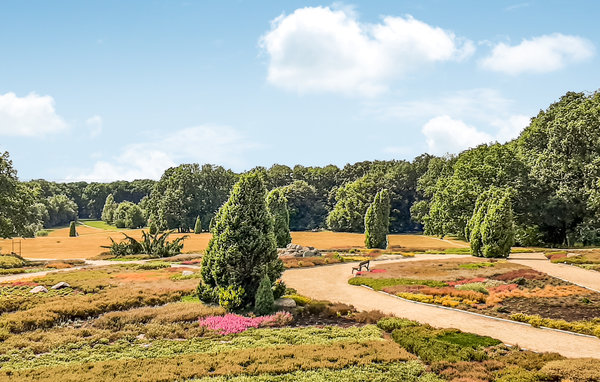Ferienhaus - Schneverdingen , Deutschland - DLH128 901