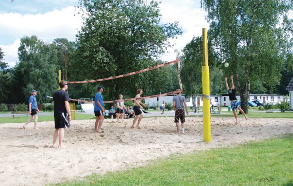 Domy wakacyjne - Faßberg , Niemcy - DLH206 909