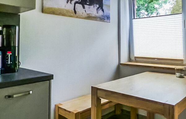 Appartement - Barth , Allemagne - DMB119 6