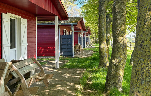 Appartement - Barth , Allemagne - DMB119 101