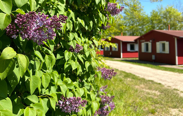 Ferienwohnung - Barth , Deutschland - DMB122 8