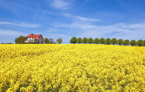 Semesterhus - Insel Poel , Tyskland - DME323 912
