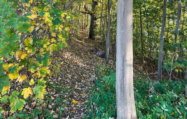 Ferienhaus - Schwerin , Deutschland - DME379 101