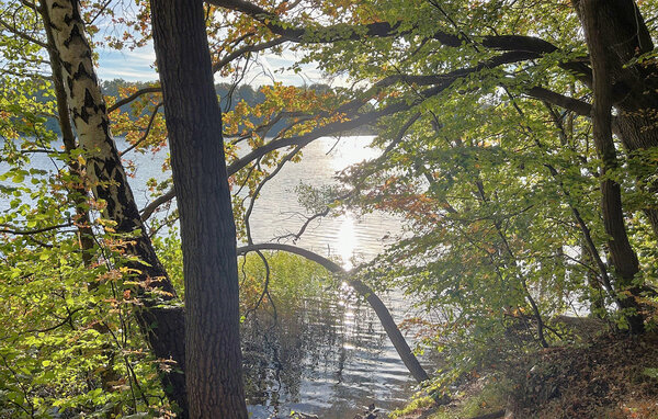Ferienhaus - Schwerin , Deutschland - DME379 102