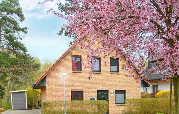 Ferienhaus - Röbel / Müritz , Deutschland - DME702 82