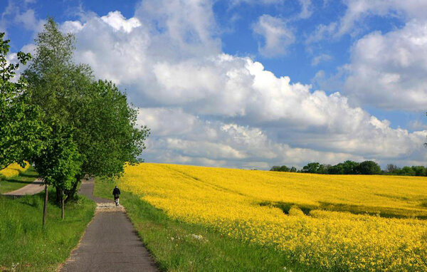 Casa de vacaciones - Röbel / Müritz , Alemania - DME706 901