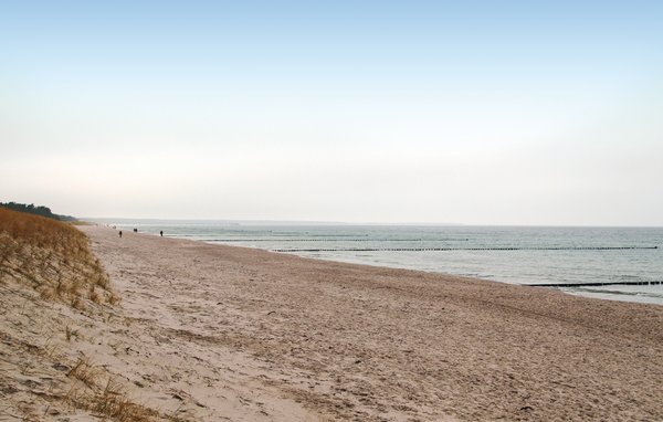 Ferienwohnung - Ostseebad Prerow , Deutschland - DMK099 901