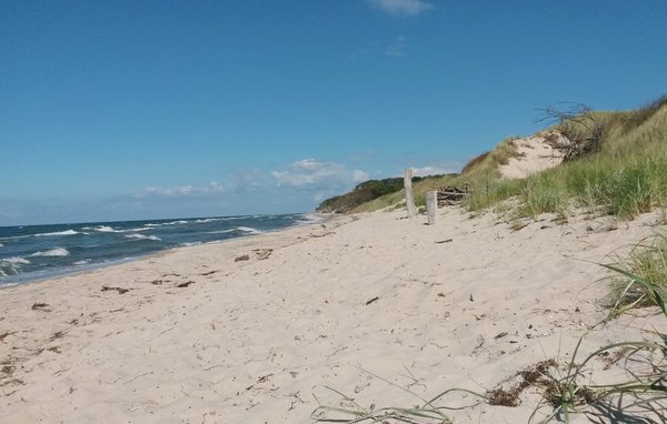 Ferienwohnung - Ostseebad Prerow , Deutschland - DMK099 903