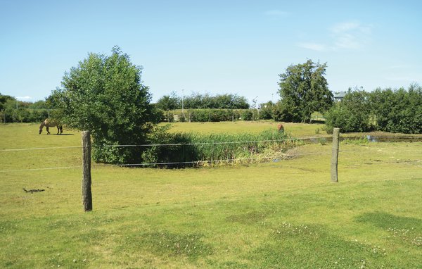 Ferienwohnung - Börgerende , Deutschland - DMK172 901