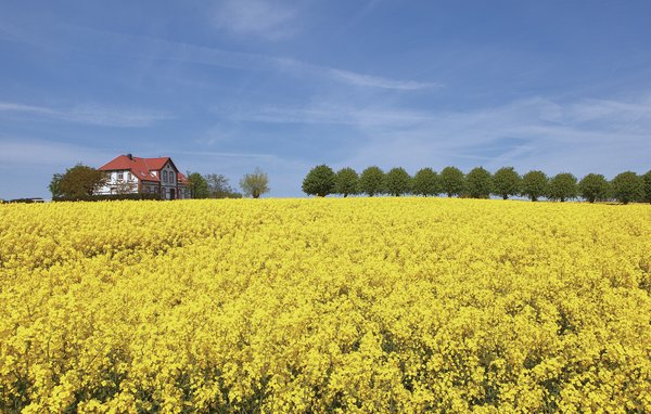 Feriebolig 