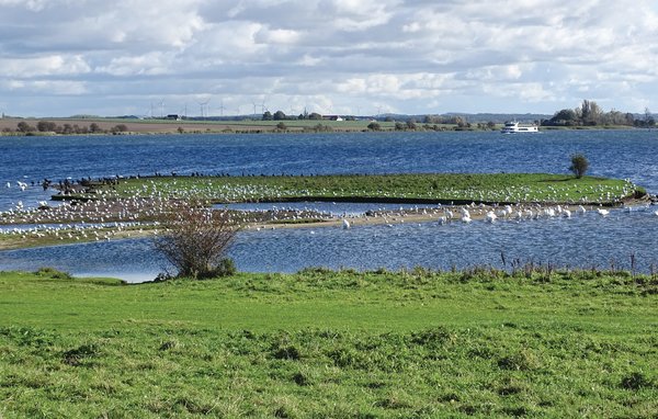 Ferienhaus - Insel Poel/Timmendorf , Deutschland - DMK347 902