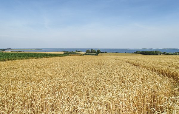 Ferienhaus - Boiensdorf , Deutschland - DMK597 905