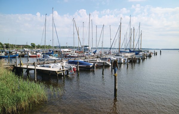 Ferienwohnung - Rerik , Deutschland - DMK666 905