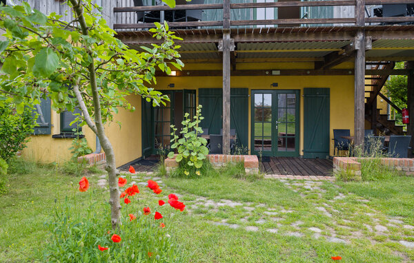 Ferienwohnung - Am Salzhaff , Deutschland - DMK764 101