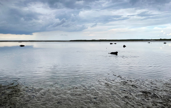 Ferienwohnung - Insel Poel , Deutschland - DMK876 904