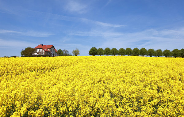 Ferienwohnung - Insel Poel , Deutschland - DMK876 906