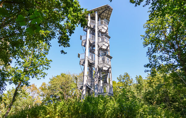 Ferienhaus - Neuenkirchen , Deutschland - DMR395 902
