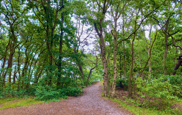 Ferienwohnung - Ferienappartement - Juliusruh , Deutschland - DMR587 910