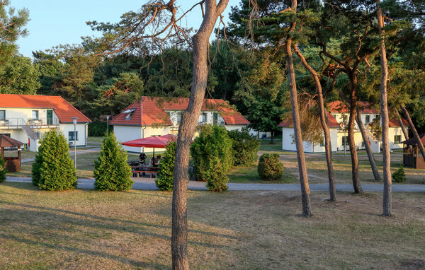 Ferienwohnung - Ferienappartement - Juliusruh , Deutschland - DMR590 110