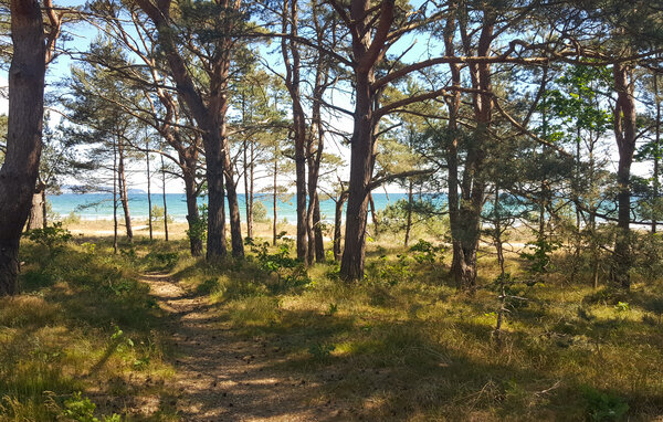 Appartamento - Prora/Rügen , Germania - DMR706 902