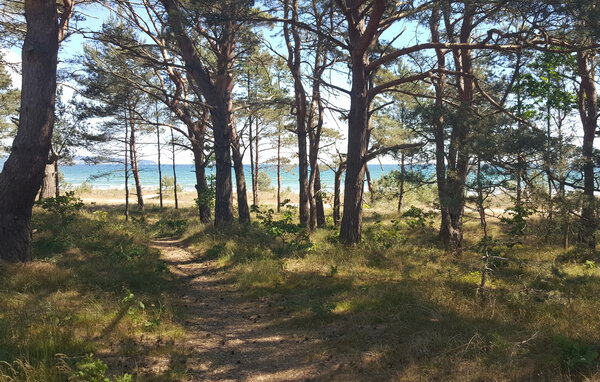 Apartment - Prora/Rügen , Germany - DMR707 906