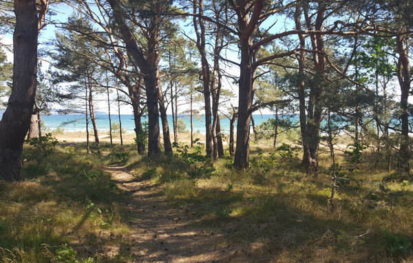 Apartment - Prora/Rügen , Germany - DMR709 905