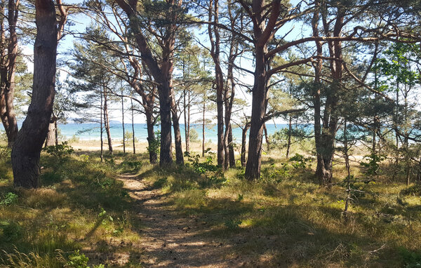 Appartement - Binz , Allemagne - DMR773 201