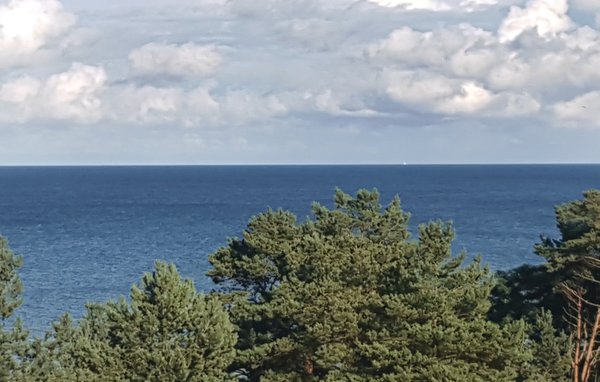 Mieszkanie Skysuite