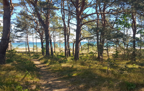 Apartamento - Prora/Rügen , Alemania - DMR828 902